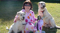 The Dogs and I